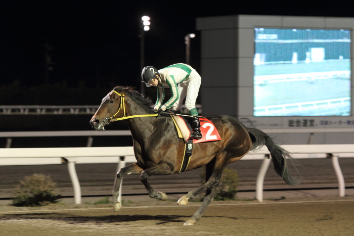 2013年3月25日(月) 高知競馬 10R 香川県オリーブ特別 C2-1選抜馬 その1_a0077663_8141363.jpg