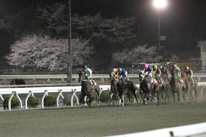 2013年3月25日（月） 高知競馬 10R 香川県オリーブ特別 C2-1選抜馬 その1_a0077663_814229.jpg