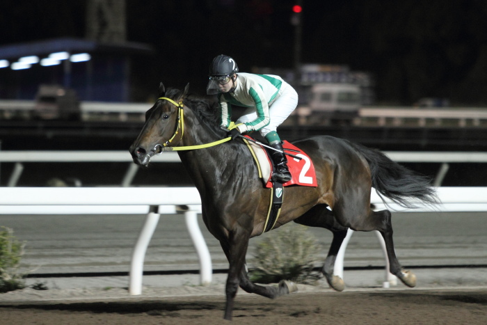 2013年3月25日（月） 高知競馬 10R 香川県オリーブ特別 C2-1選抜馬 その1_a0077663_814429.jpg