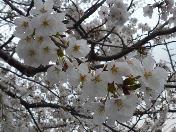 a0297366_13532661.jpg