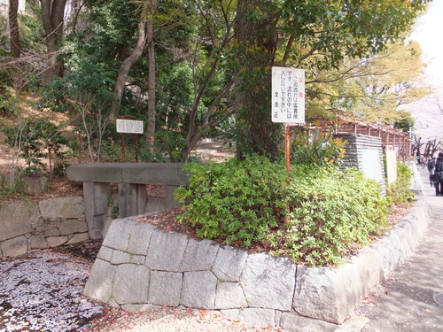 d0080566_949482.jpg