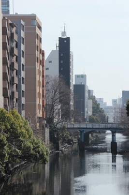 f0185066_2051543.jpg