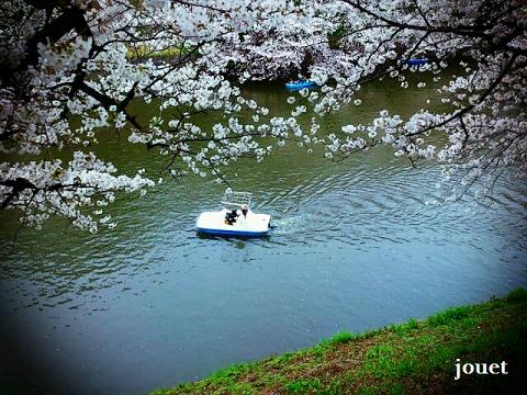 靖国神社と千鳥ヶ淵の桜_c0249174_034666.jpg