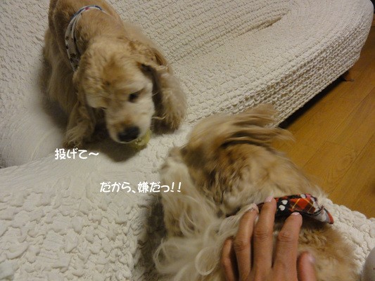 f0218182_1532178.jpg