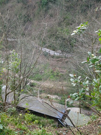 f0141785_202785.jpg