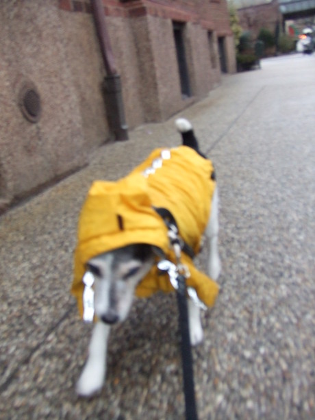 c0253487_38204.jpg