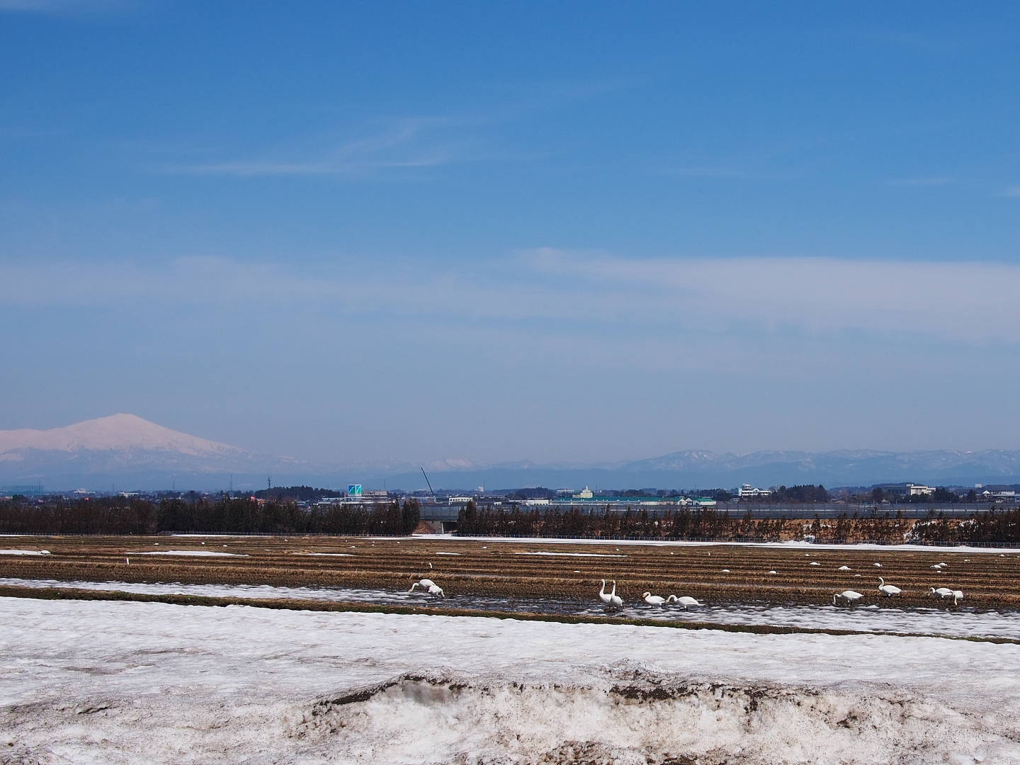 c0201088_1631277.jpg