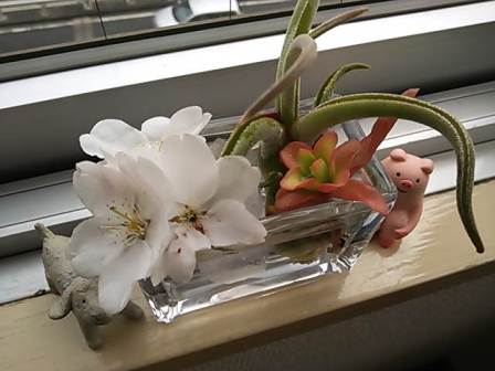 桜の季節になりました。_d0063290_2122258.jpg