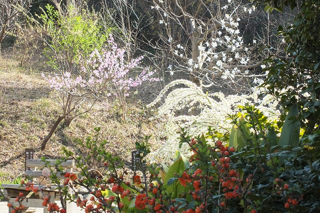 e0070891_20255713.jpg