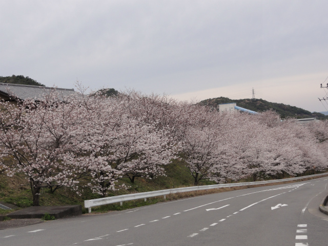 c0125501_23214121.jpg