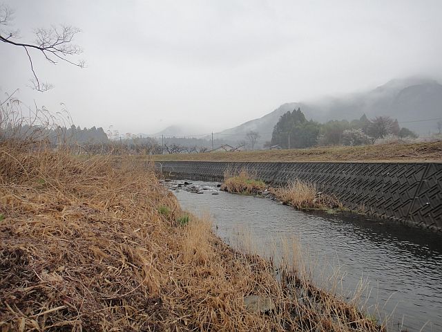 恵みの雨♪_b0172805_362035.jpg