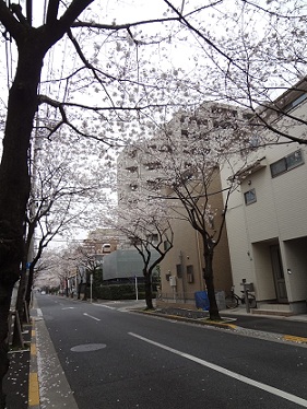 e0131906_167119.jpg