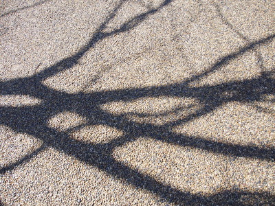 b0120108_13583770.jpg
