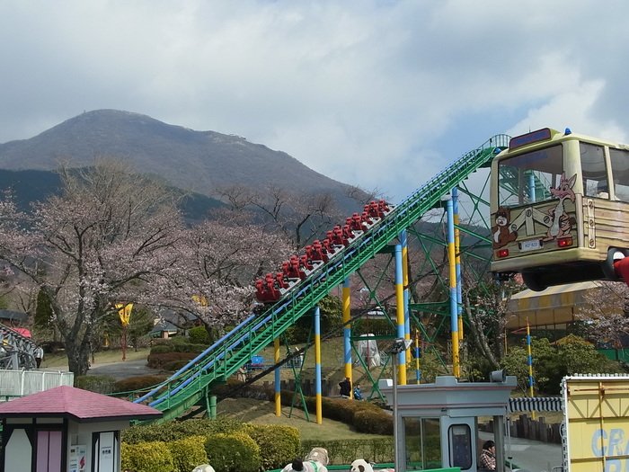 桜咲く卒業旅行_d0116009_8552942.jpg