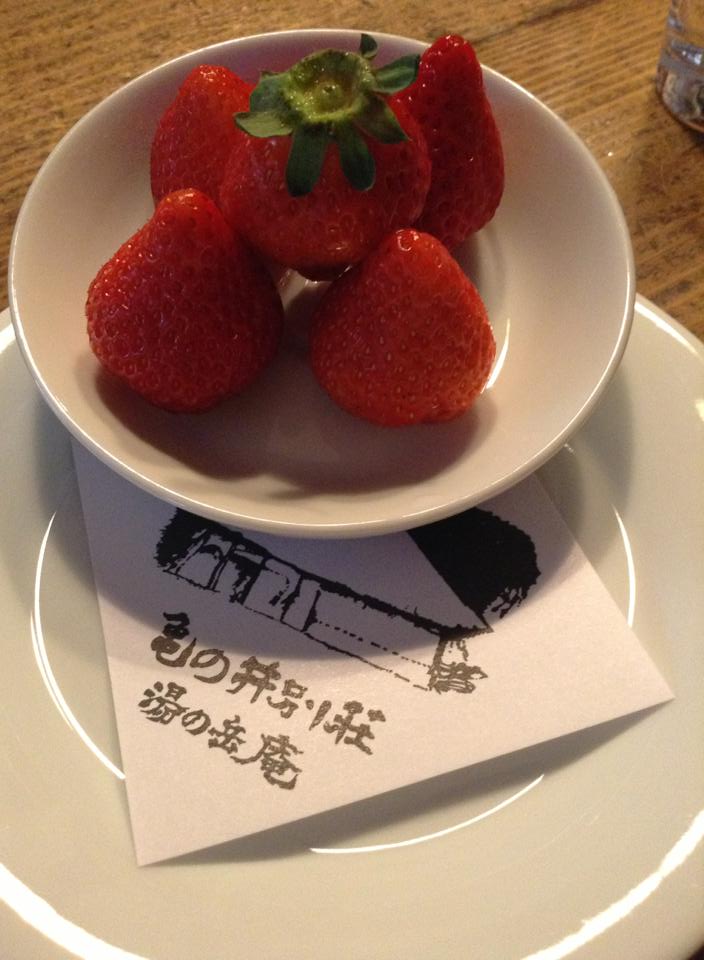 桜咲く卒業旅行_d0116009_9161276.jpg