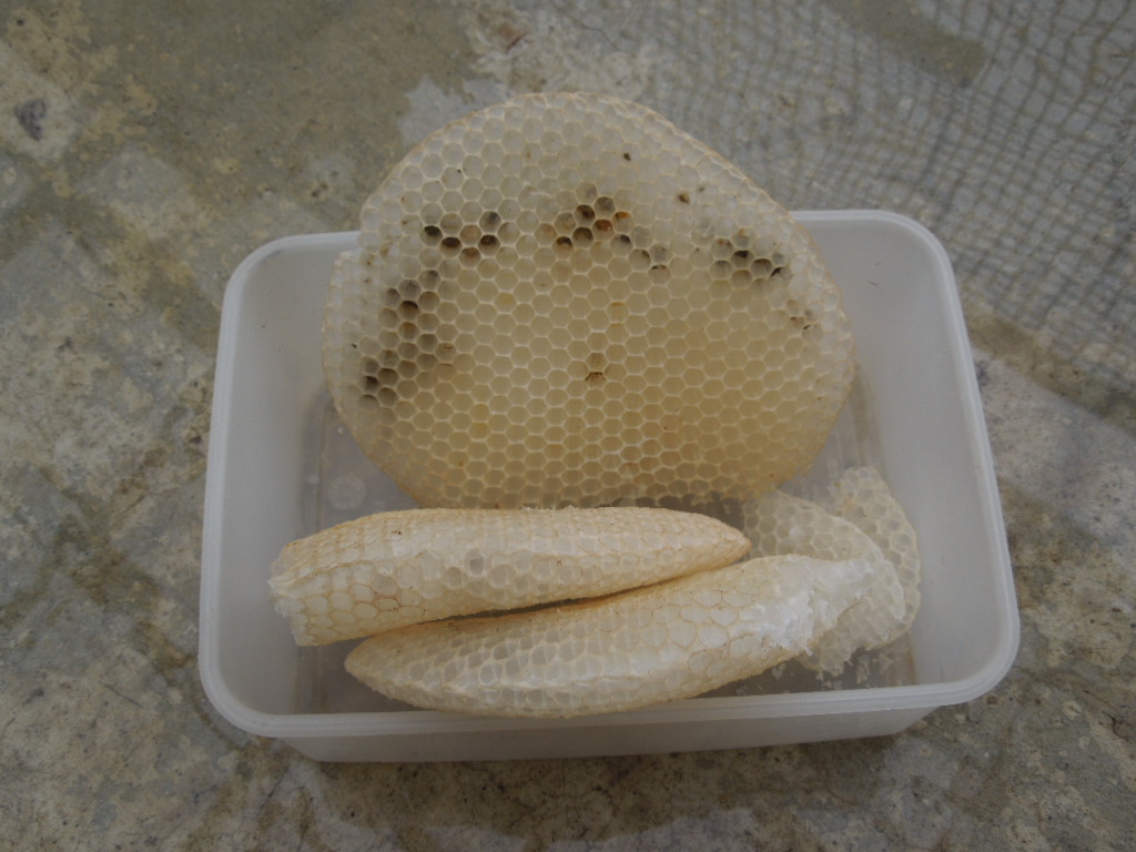 「巣箱準備 2013」_a0120513_19324640.jpg