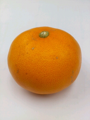 e0058913_21221673.jpg