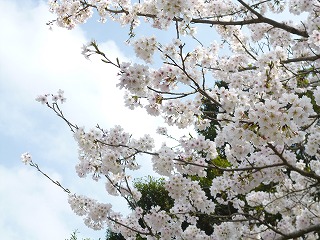 f0190020_18163237.jpg