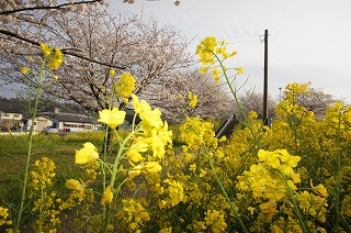 f0190020_18165491.jpg