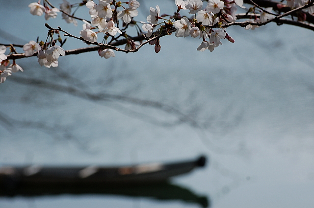 桜めぐりプチツー_f0248120_19103368.jpg