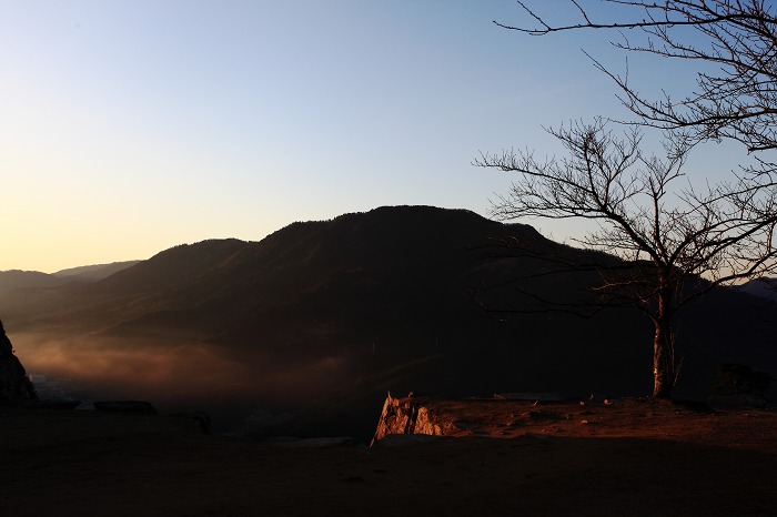 その後_a0294534_2133424.jpg