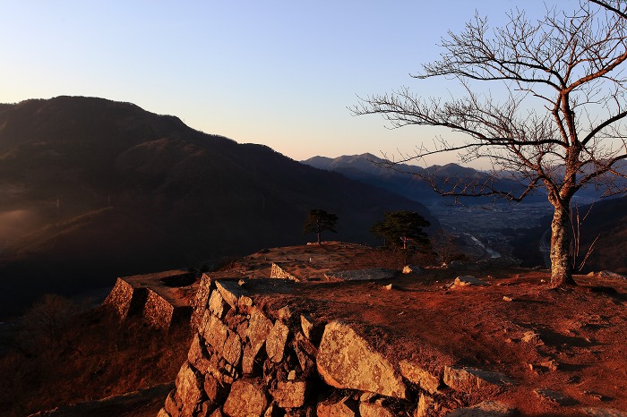 その後_a0294534_2135477.jpg