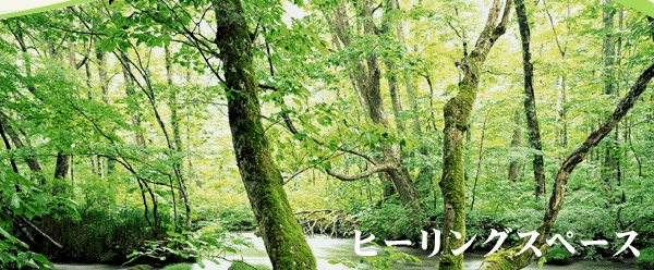 a0286340_2223573.gif