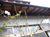 c0237143_1834676.jpg