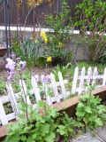 c0237143_18382138.jpg