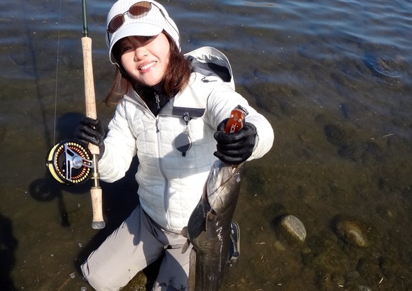 春の多摩川 ナマズが釣れました 大谷泰子様 Fly Shop Loop To Loop Blog