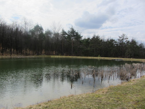 b0247153_920690.jpg