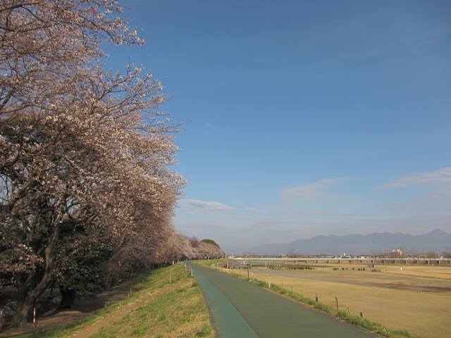 a0208560_12452558.jpg