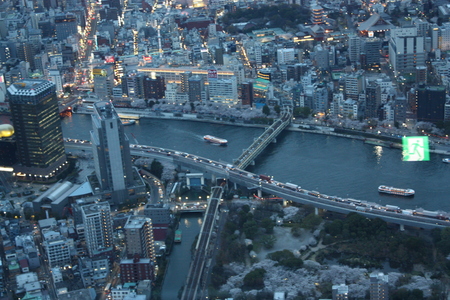 a0164362_5452931.jpg