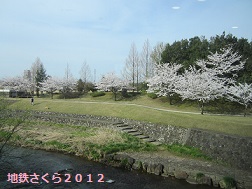 富山地鉄のさくらマップ2013@稲荷町_a0243562_132061.jpg