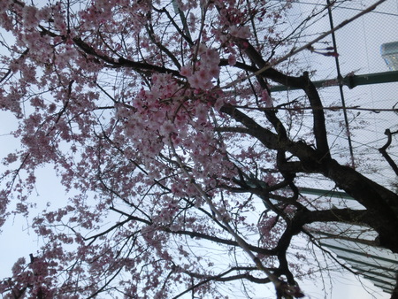 b0190666_23254628.jpg