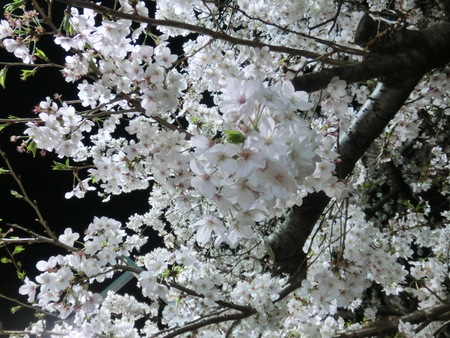 b0190666_232855.jpg