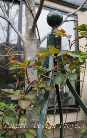 植物の景色に癒されますね~♪_f0029571_116457.jpg