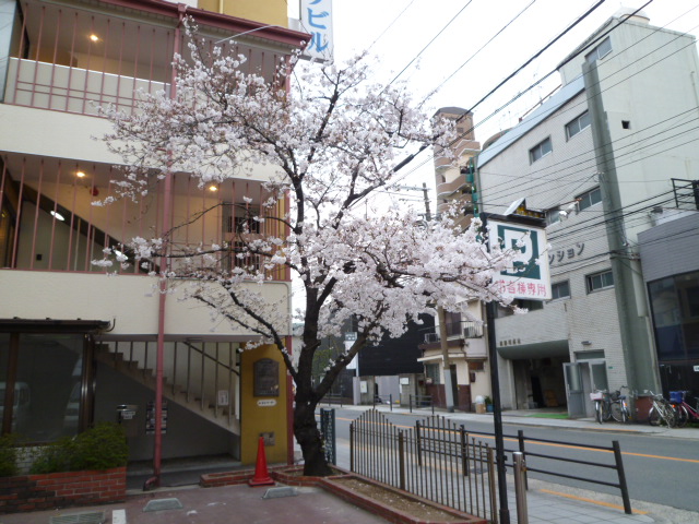 f0200477_6433633.jpg