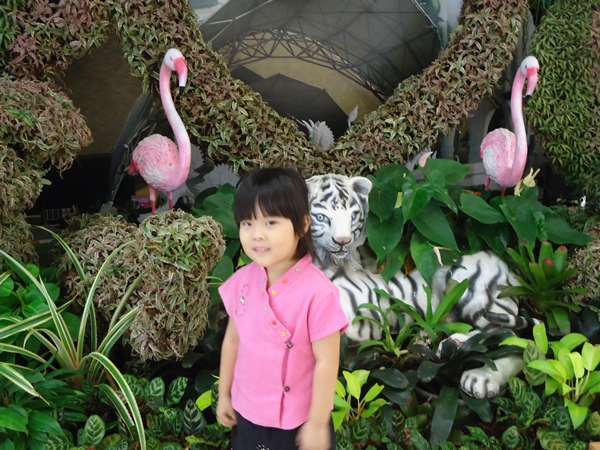 双子家近況とシイタケ!!_a0199979_14164127.jpg