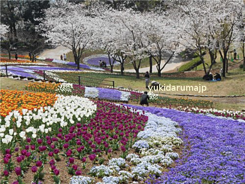 f0055380_17504935.jpg