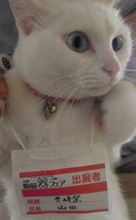花器を棚へ_d0195183_136758.jpg