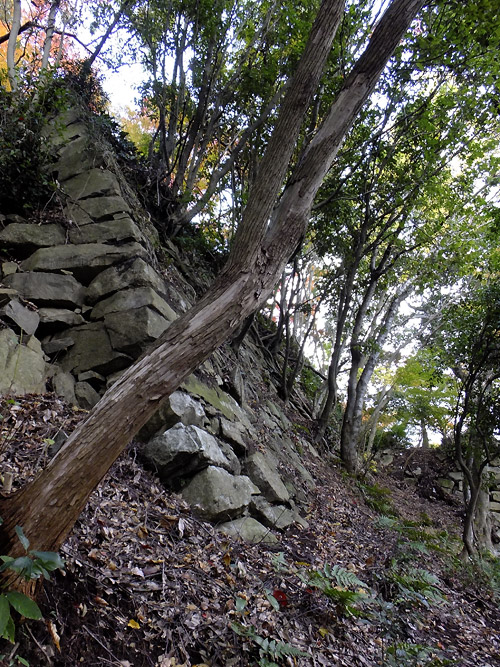 近江八幡へ（その４）_c0001491_14332033.jpg