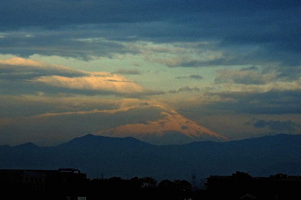 b0024798_20411820.jpg