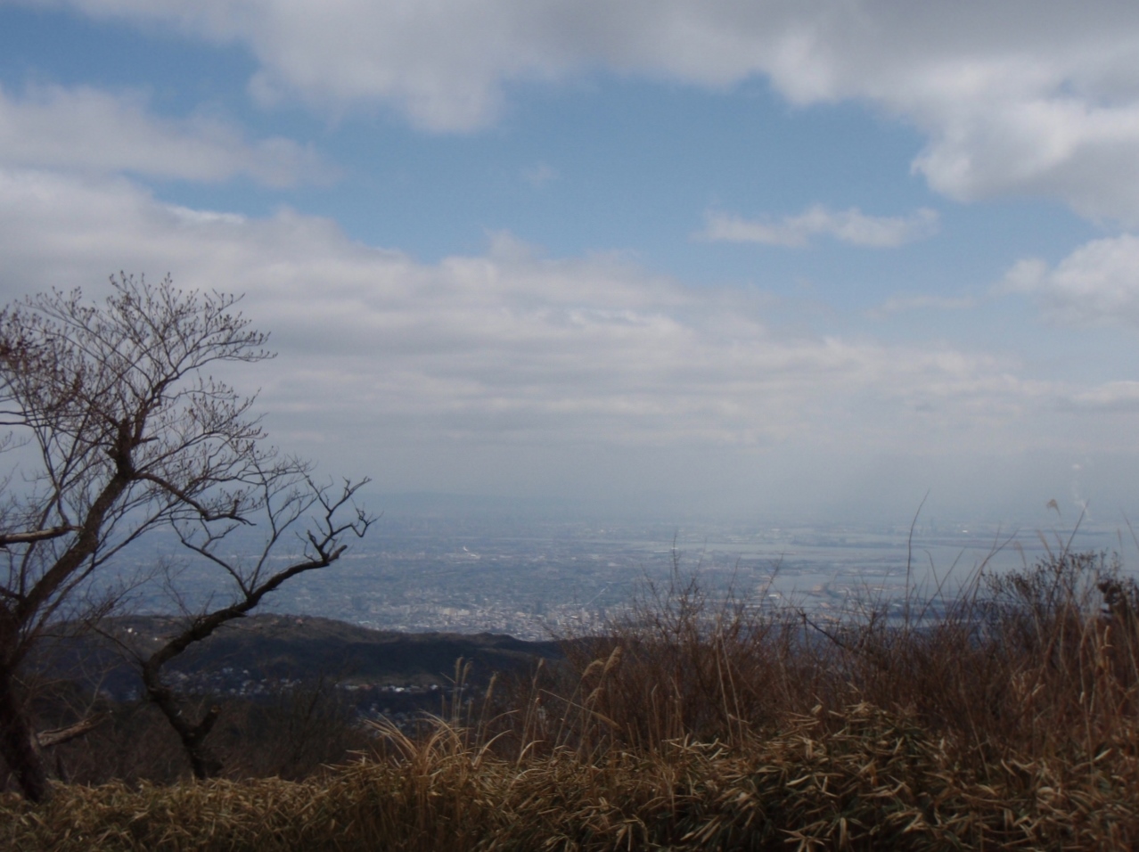 六甲　芦屋～荒地山～最高峰～蛇谷北山_b0039898_852563.jpg