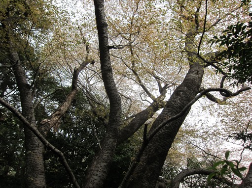 e0245404_2246074.jpg