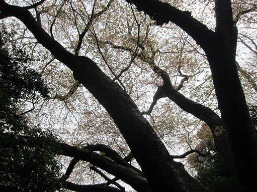 e0245404_22481358.jpg
