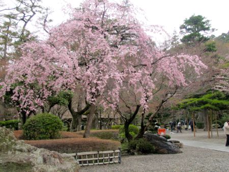 岐阜公園にある『岐阜城』に登り『田楽』を食い『川原町散策』する_b0051109_10122765.jpg