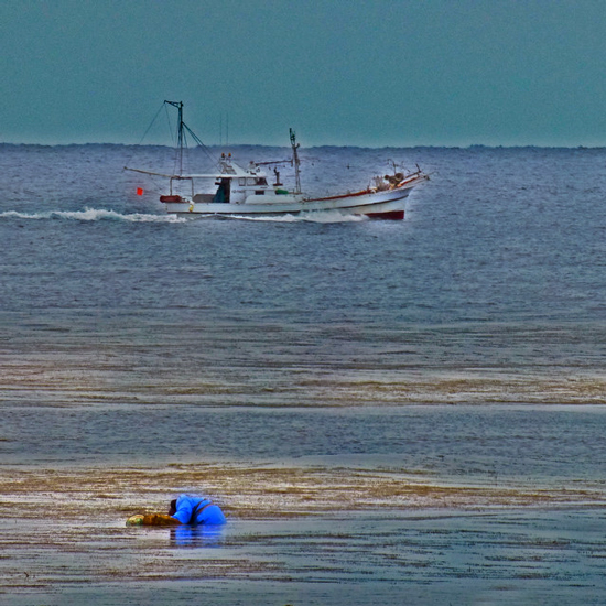 b0130112_1543393.jpg