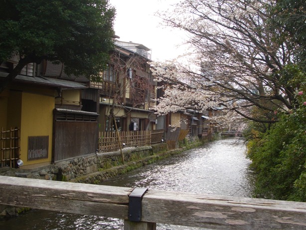 桜が咲き始めた祇園へ行ってみる_e0033713_103381.jpg