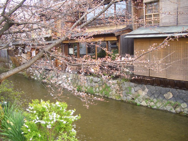 e0033713_9483414.jpg
